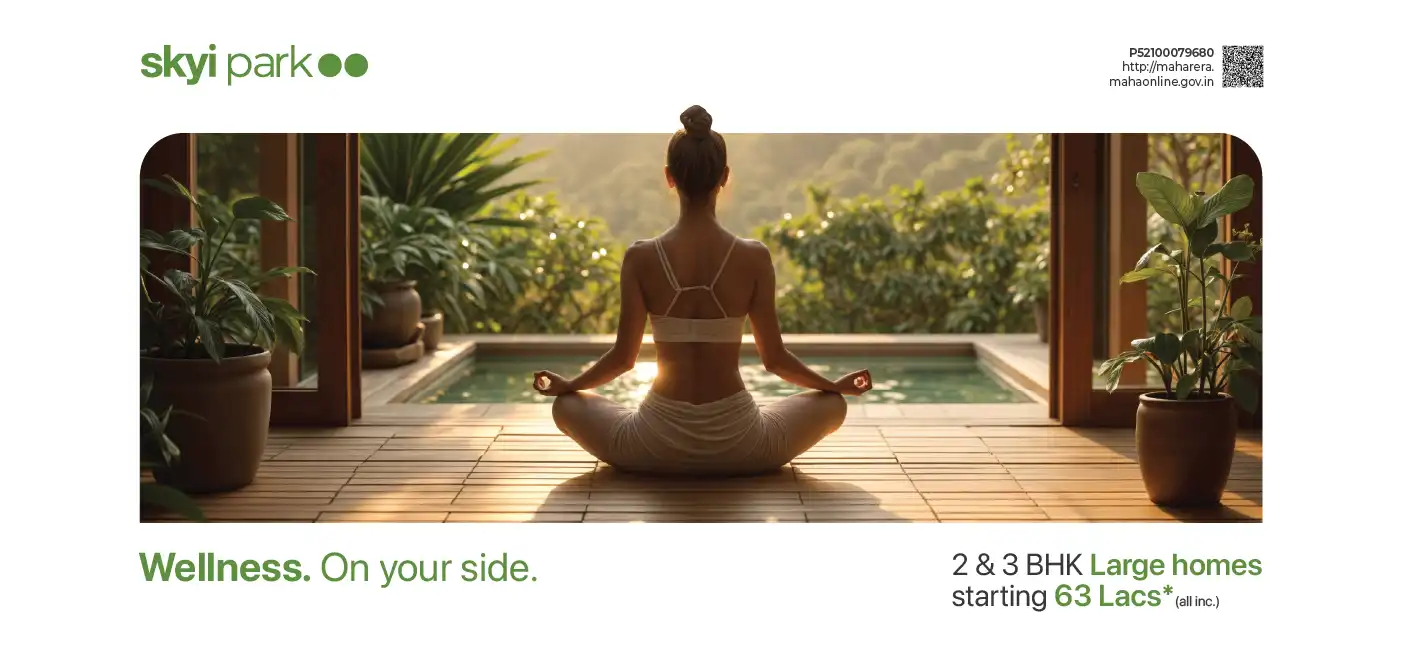 skyipark website banner